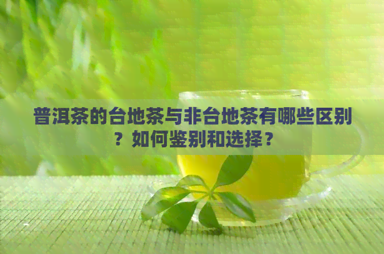 普洱茶的台地茶与非台地茶有哪些区别？如何鉴别和选择？