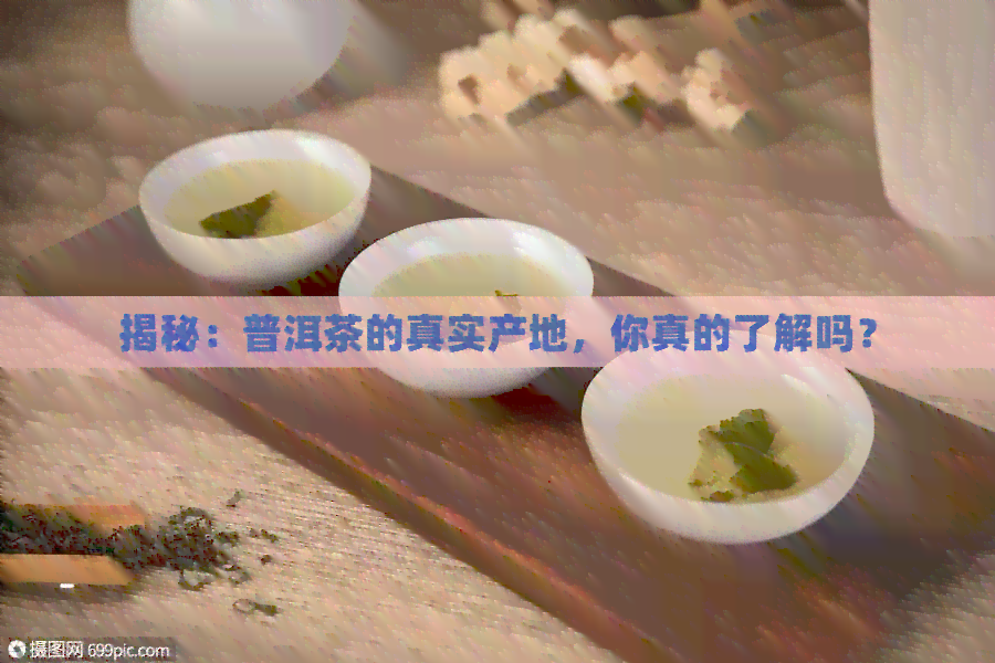 揭秘：普洱茶的真实产地，你真的了解吗？