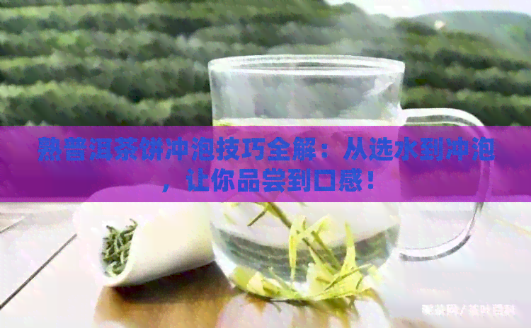 熟普洱茶饼冲泡技巧全解：从选水到冲泡，让你品尝到口感！