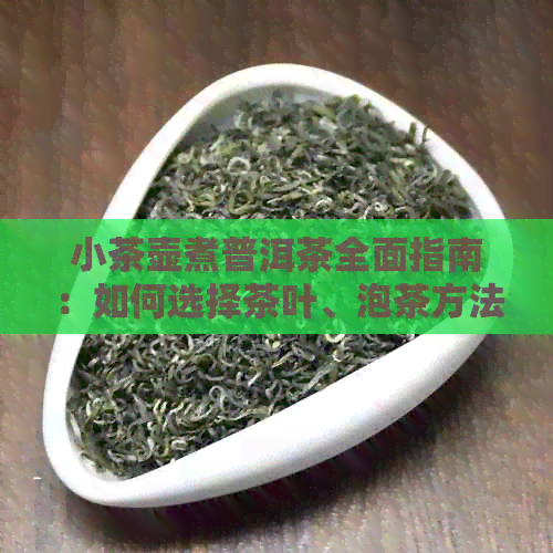 小茶壶煮普洱茶全面指南：如何选择茶叶、泡茶方法与品尝技巧