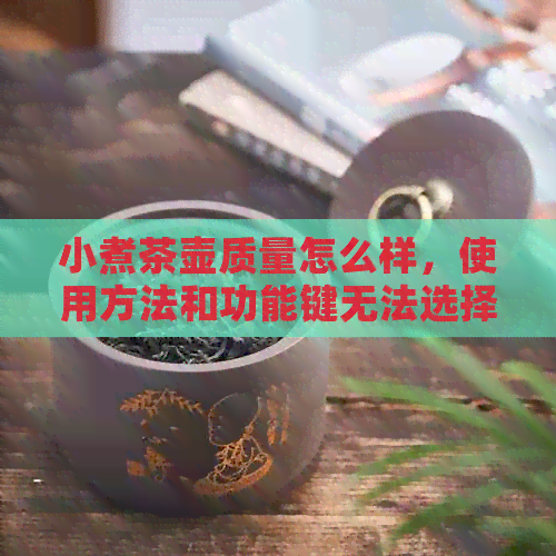 小煮茶壶质量怎么样，使用方法和功能键无法选择