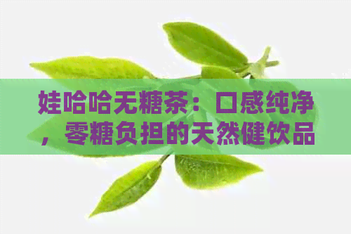 娃哈哈无糖茶：口感纯净，零糖负担的天然健饮品