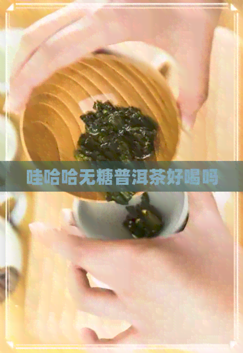 哇哈哈无糖普洱茶好喝吗