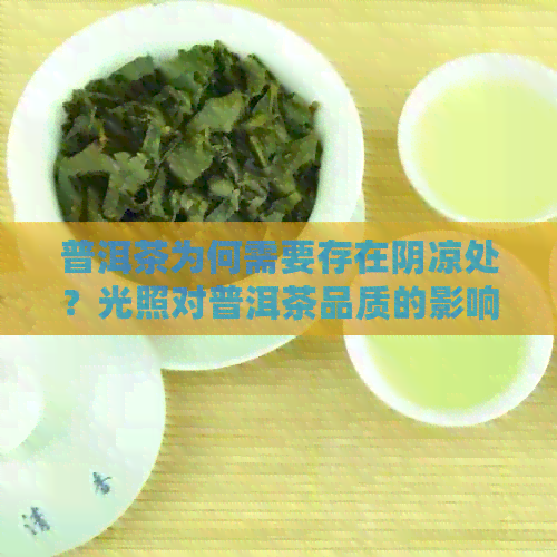 普洱茶为何需要存在阴凉处？光照对普洱茶品质的影响及如何避免？