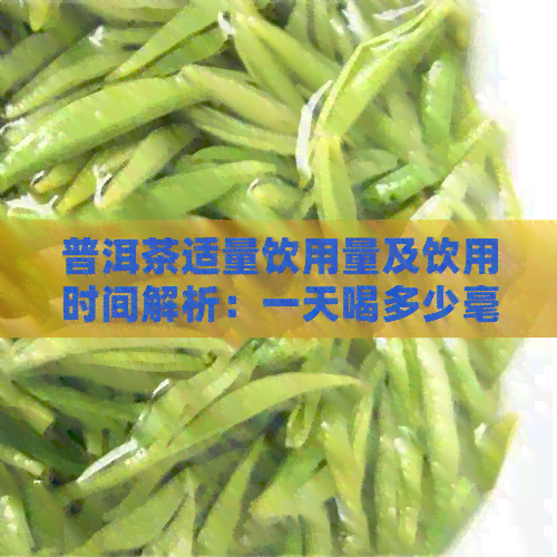 普洱茶适量饮用量及饮用时间解析：一天喝多少毫升合适？