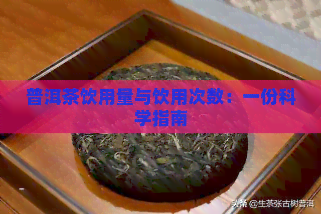 普洱茶饮用量与饮用次数：一份科学指南