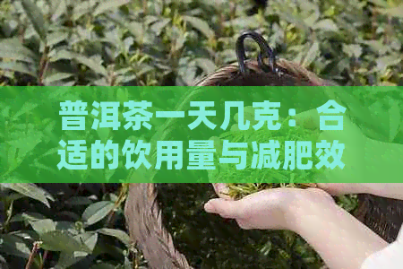 普洱茶一天几克：合适的饮用量与减肥效果