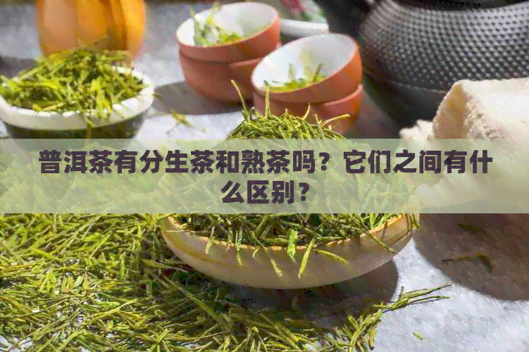 普洱茶有分生茶和熟茶吗？它们之间有什么区别？