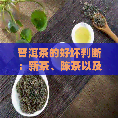 普洱茶的好坏判断：新茶、陈茶以及保存方法的全方位解析