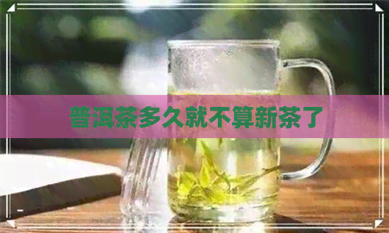 普洱茶多久就不算新茶了