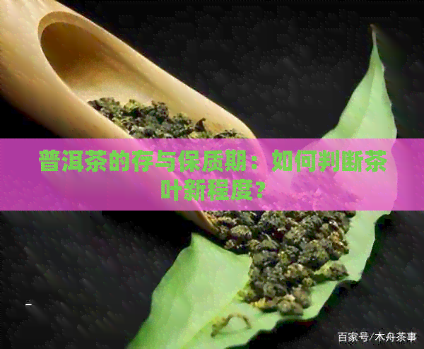 普洱茶的存与保质期：如何判断茶叶新程度？