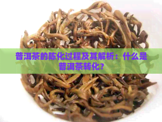 普洱茶的陈化过程及其解析：什么是普洱茶转化？