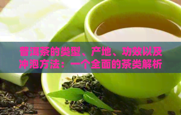 普洱茶的类型、产地、功效以及冲泡方法：一个全面的茶类解析