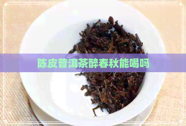 陈皮普洱茶醉春秋能喝吗