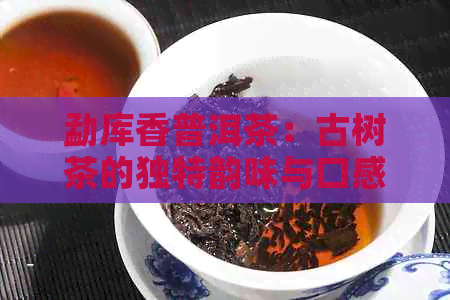 勐库香普洱茶：古树茶的独特韵味与口感体验