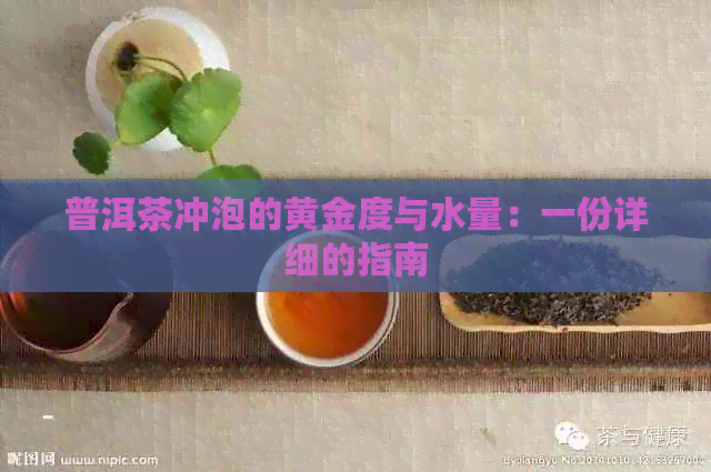 普洱茶冲泡的黄金度与水量：一份详细的指南