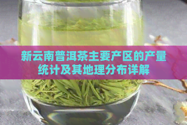 新云南普洱茶主要产区的产量统计及其地理分布详解