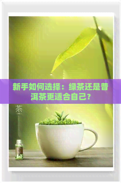 新手如何选择：绿茶还是普洱茶更适合自己？