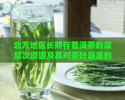 北方地区长期存普洱茶的深层次原因及其对茶叶品质的影响解析