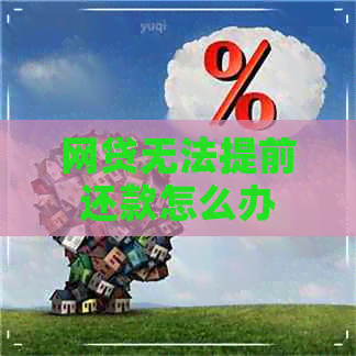 网贷无法提前还款怎么办