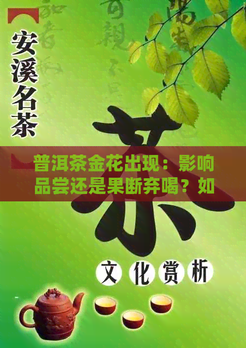 普洱茶金花出现：影响品尝还是果断弃喝？如何正确处理？