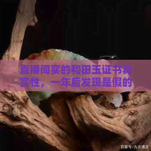 直播间买的和田玉证书真实性，一年后发现是假的怎么处理？