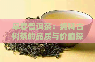 早春普洱茶：纯料古树茶的品质与价值探讨