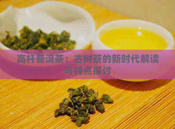 高杆普洱茶：古树茶的新时代解读与特点探讨