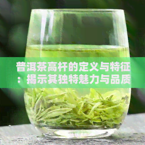 普洱茶高杆的定义与特征：揭示其独特魅力与品质特性