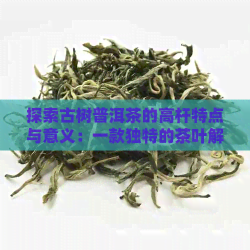 探索古树普洱茶的高杆特点与意义：一款独特的茶叶解析