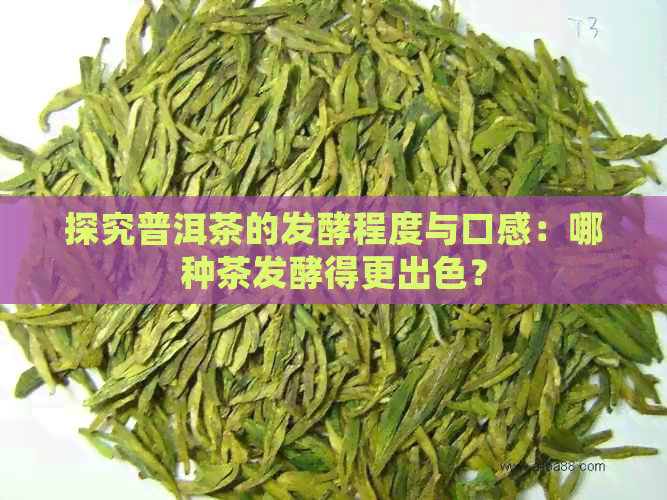 探究普洱茶的发酵程度与口感：哪种茶发酵得更出色？