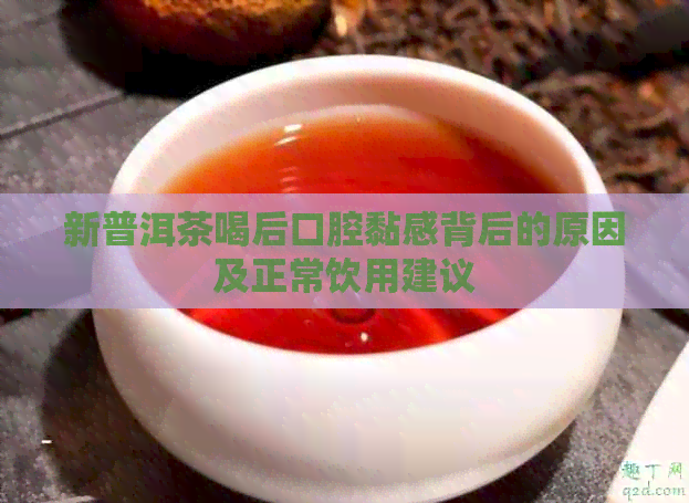 新普洱茶喝后口腔黏感背后的原因及正常饮用建议