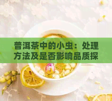 普洱茶中的小虫：处理方法及是否影响品质探讨