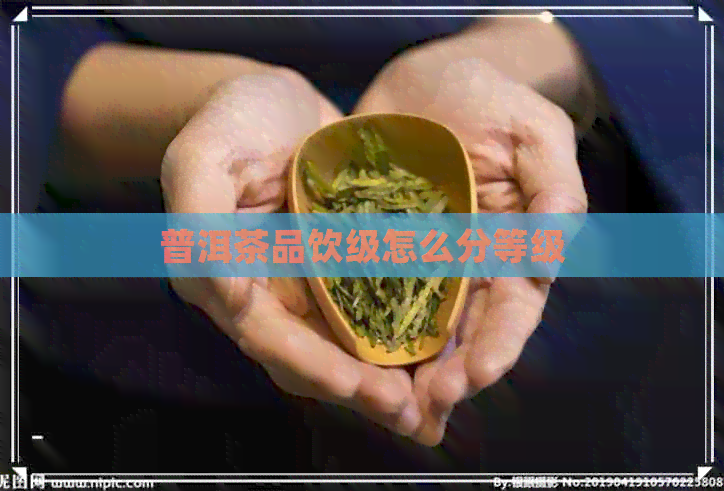 普洱茶品饮级怎么分等级