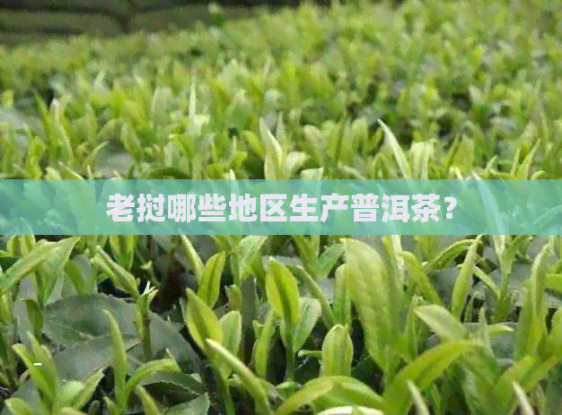 老挝哪些地区生产普洱茶？