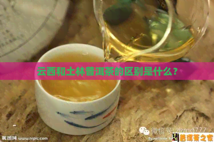 云西和土林普洱茶的区别是什么？