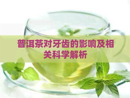 普洱茶对牙齿的影响及相关科学解析