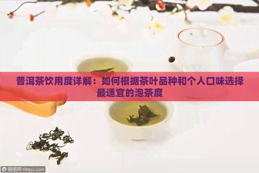 普洱茶饮用度详解：如何根据茶叶品种和个人口味选择最适宜的泡茶度