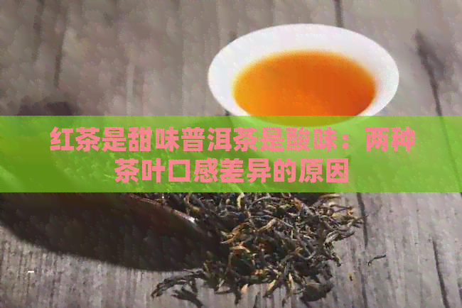 红茶是甜味普洱茶是酸味：两种茶叶口感差异的原因