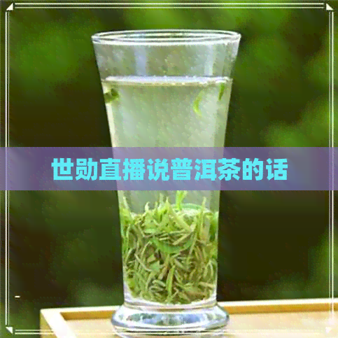 世勋直播说普洱茶的话