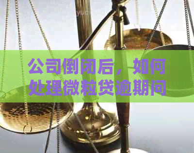 公司倒闭后，如何处理微粒贷逾期问题？