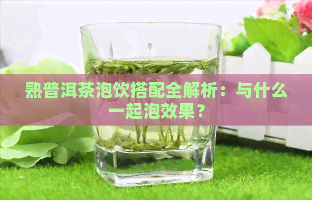 熟普洱茶泡饮搭配全解析：与什么一起泡效果？