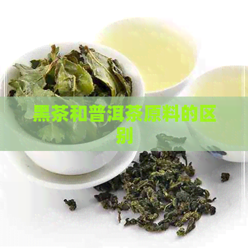 黑茶和普洱茶原料的区别