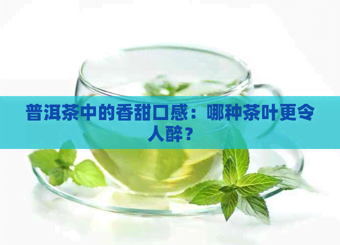 普洱茶中的香甜口感：哪种茶叶更令人醉？