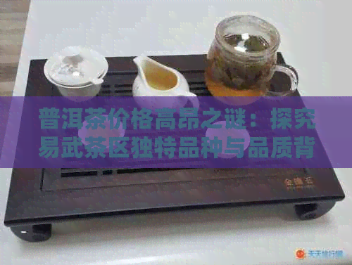 普洱茶价格高昂之谜：探究易武茶区独特品种与品质背后的原因