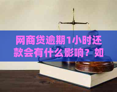 网商贷逾期1小时还款会有什么影响？如何避免逾期及处理方法全面解析