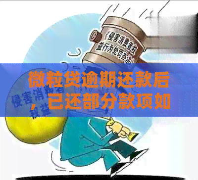 微粒贷逾期还款后，已还部分款项如何处理？新方案解决您的疑惑