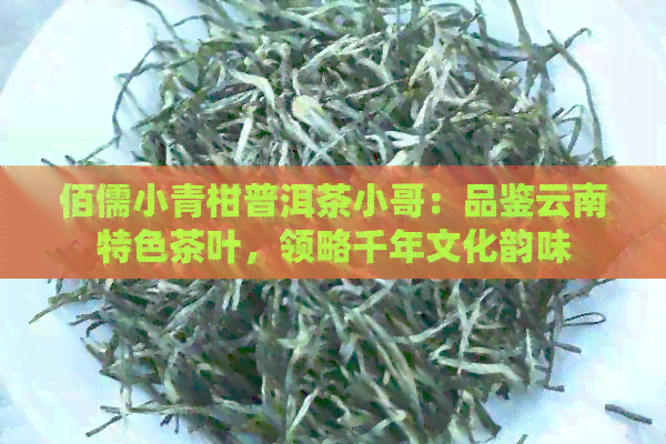 佰儒小青柑普洱茶小哥：品鉴云南特色茶叶，领略千年文化韵味