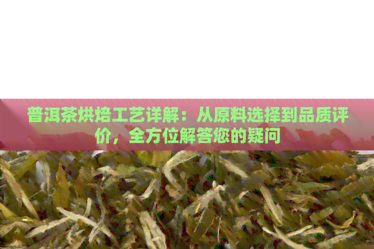 普洱茶烘焙工艺详解：从原料选择到品质评价，全方位解答您的疑问