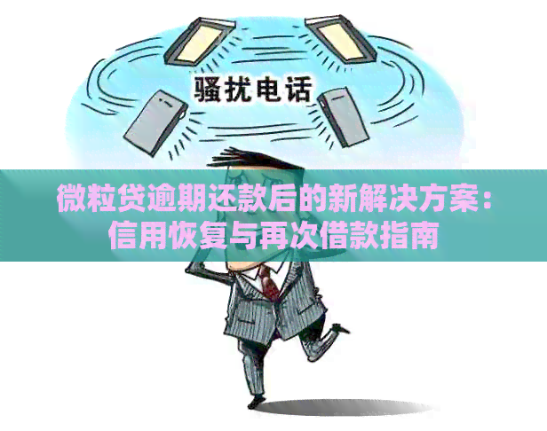 微粒贷逾期还款后的新解决方案：信用恢复与再次借款指南